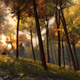 Illustration for article titled Ten Officially Sanctioned emGuild Wars 2/em Screenshots